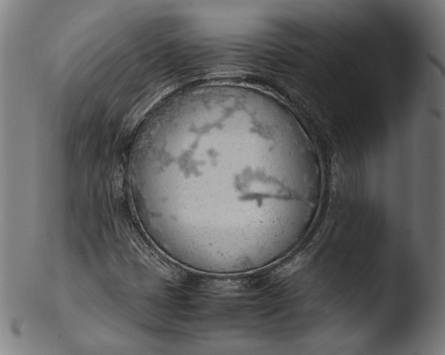 X0000103411401200809261632