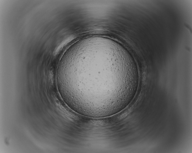 X0000103411402200809261632