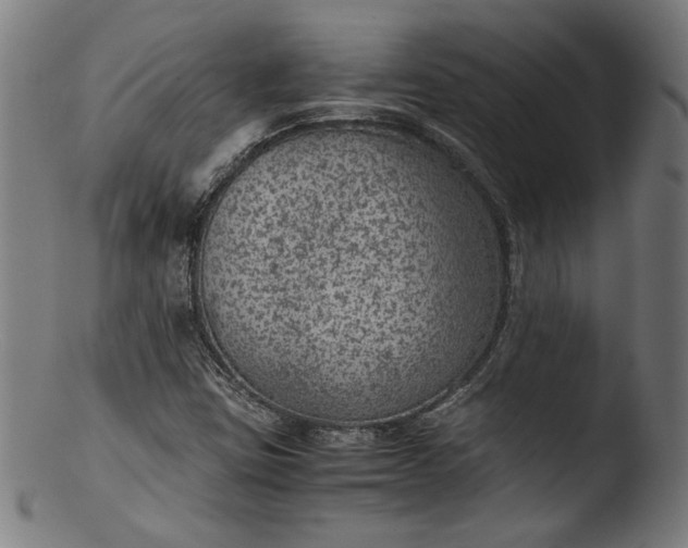 X0000103411403200809261632