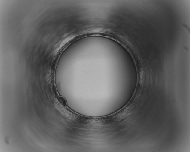 X0000103411404200809261632