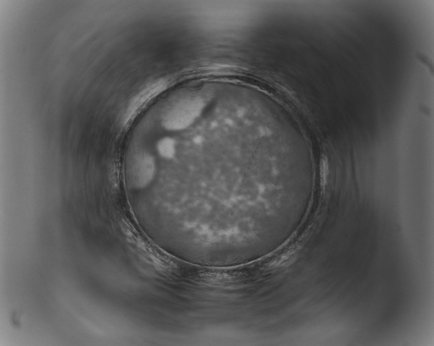 X0000103411405200809261632