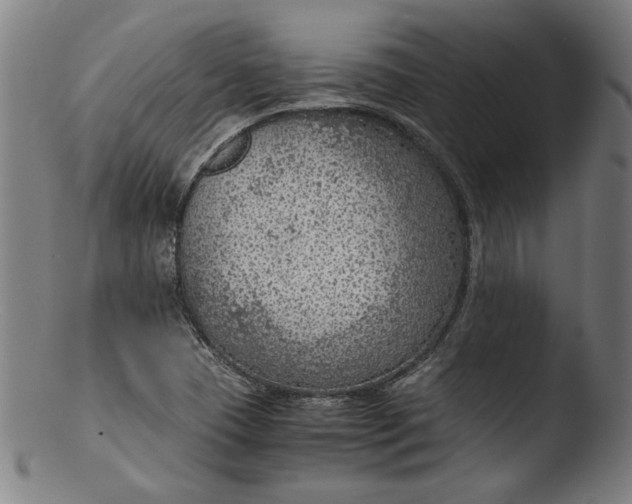 X0000103411409200809261632