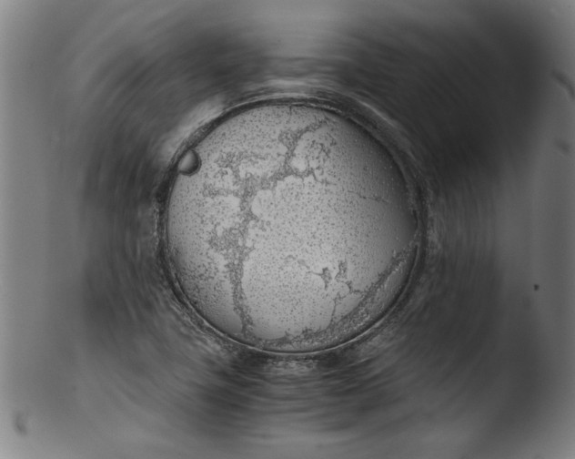 X0000103411411200809261632