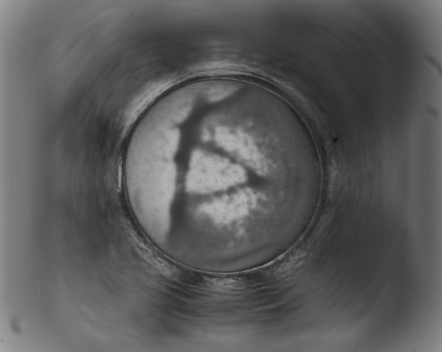 X0000103411413200809261632