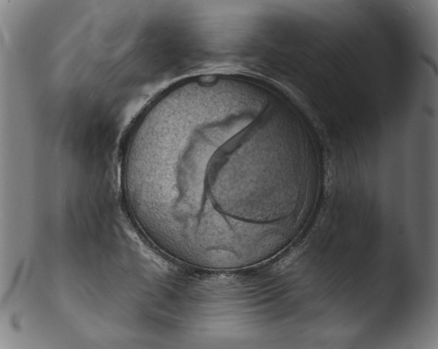 X0000103411414200809261632