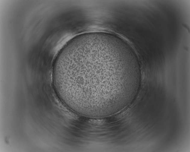 X0000103411415200809261633