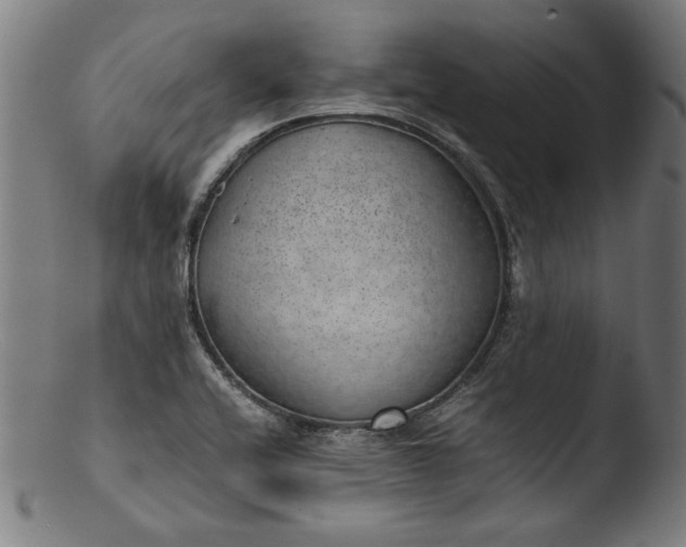 X0000103411416200809261633