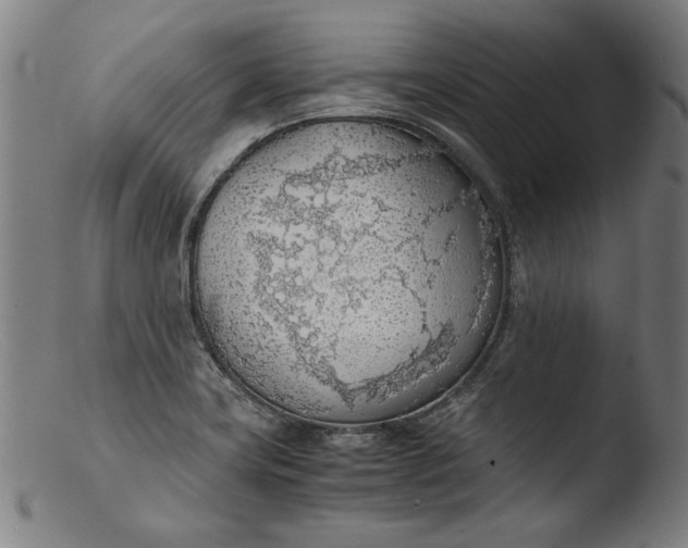 X0000103411419200809261633