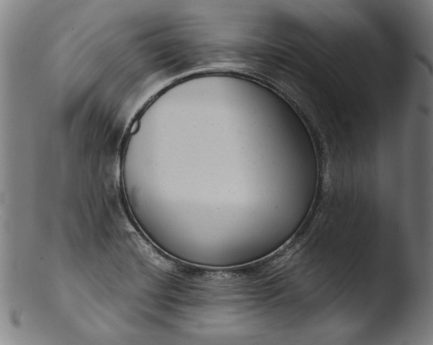 X0000103411420200809261633