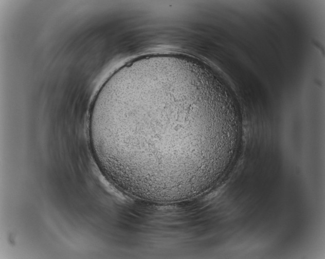 X0000103411421200809261633