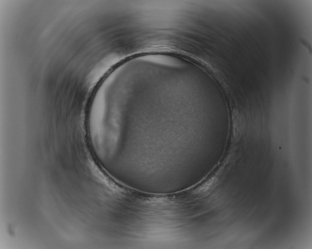 X0000103411422200809261633