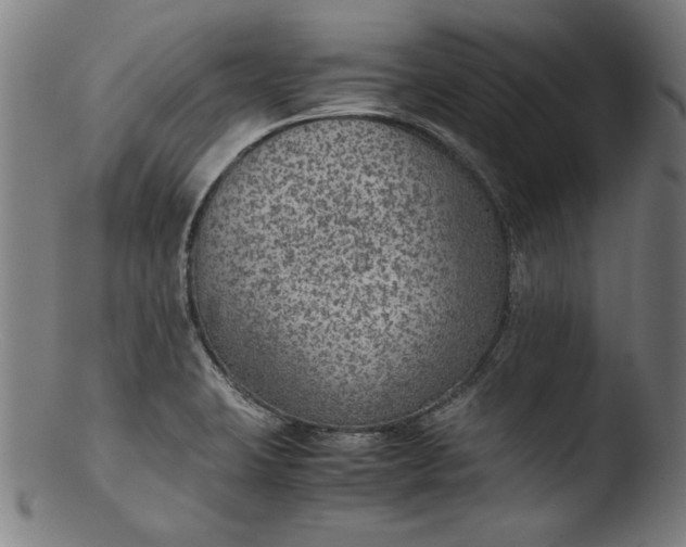 X0000103411423200809261633