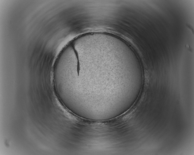 X0000103411424200809261633