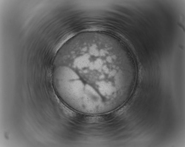 X0000103411425200809261633