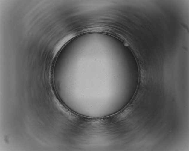 X0000103411426200809261633