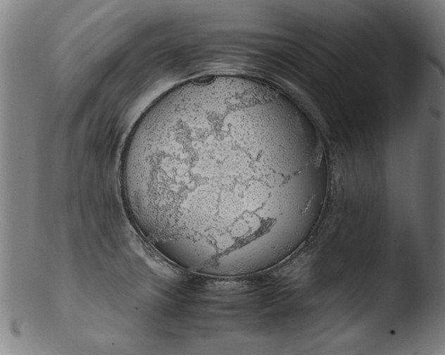 X0000103411427200809261633