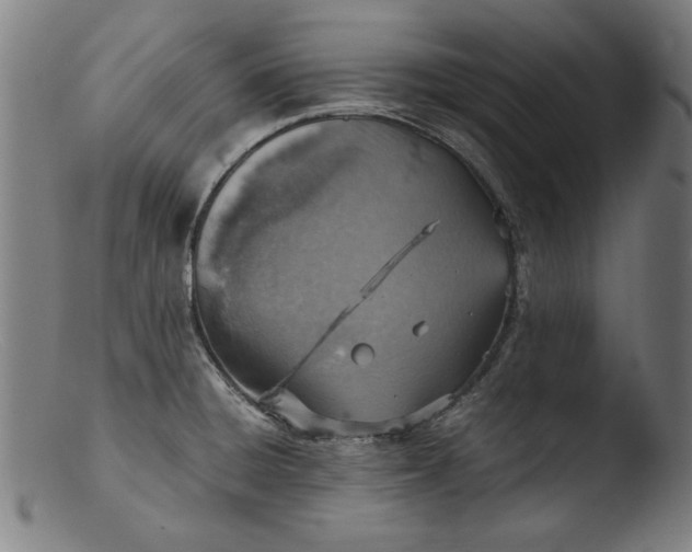 X0000103411428200809261633