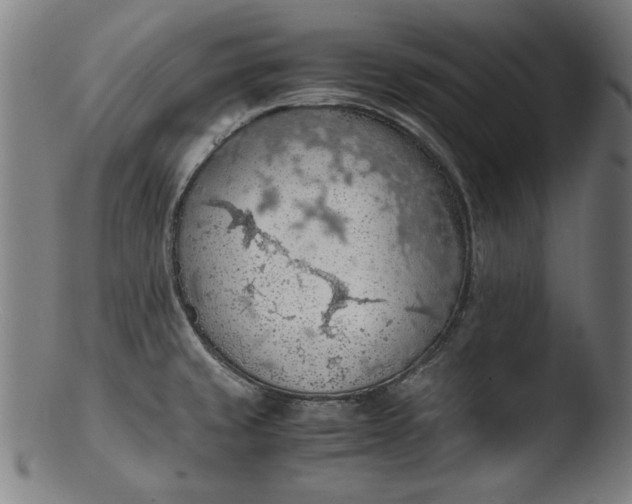 X0000103411429200809261633