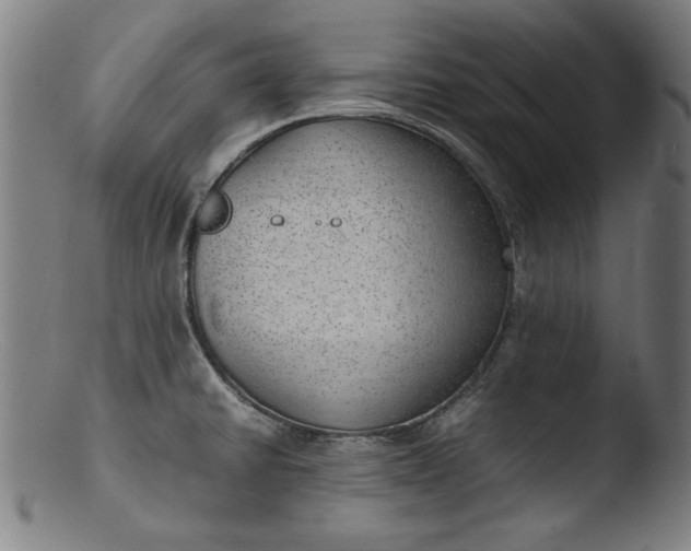 X0000103411430200809261633