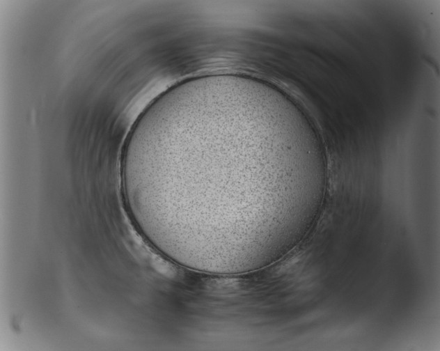 X0000103411431200809261633