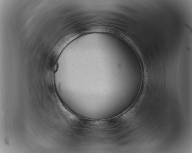 X0000103411433200809261633