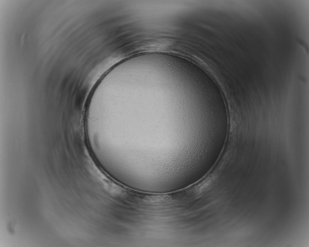 X0000103411434200809261633