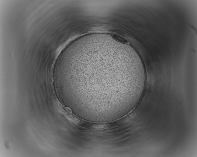 X0000103411435200809261633