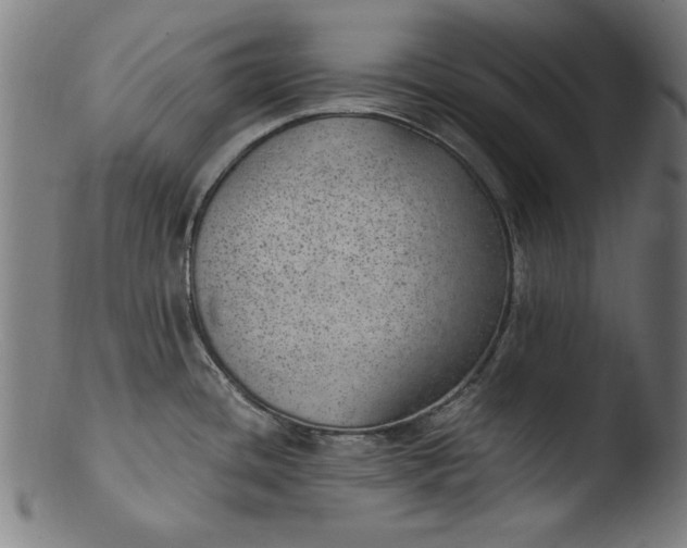 X0000103411436200809261633