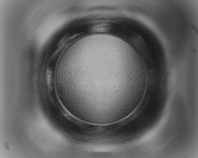 X0000103411438200809261633