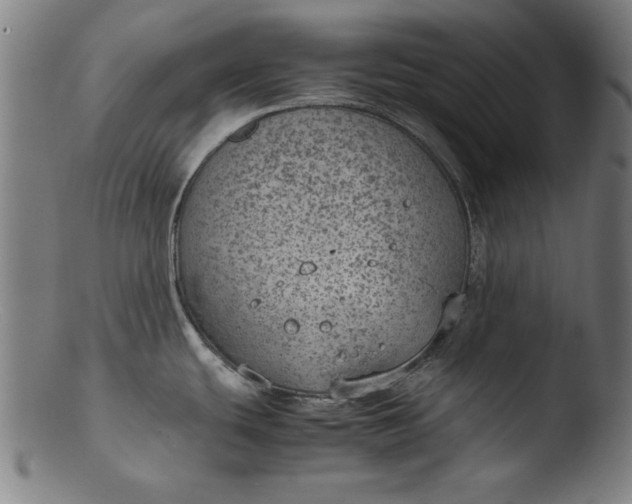 X0000103411439200809261633