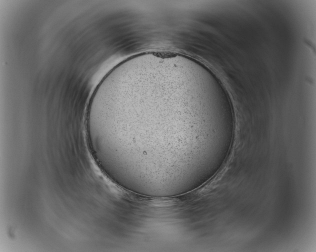 X0000103411440200809261633