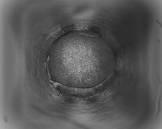 X0000103411441200809261632