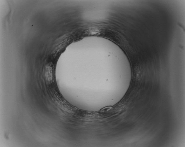 X0000103411442200809261632