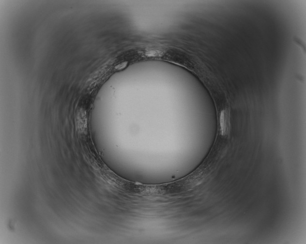 X0000103411443200809261632