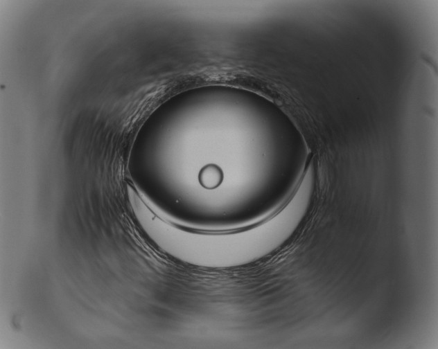 X0000103411444200809261632