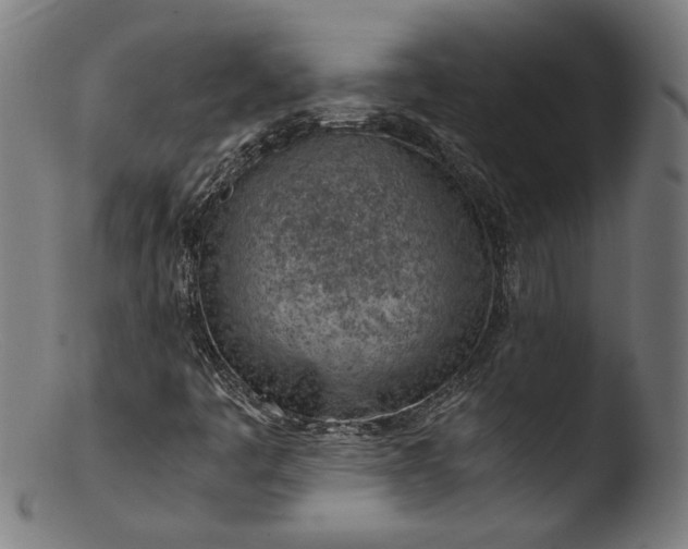 X0000103411445200809261632