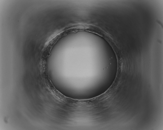 X0000103411448200809261632