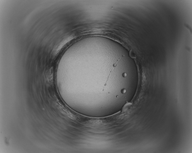 X0000103411450200809261632