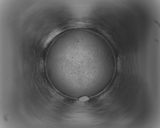 X0000103411453200809261632