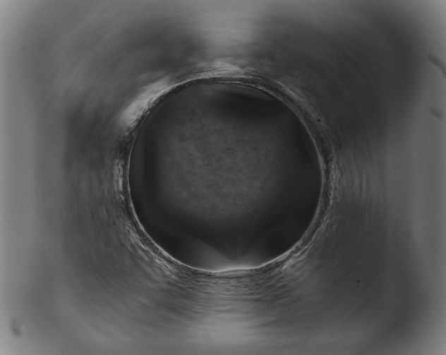 X0000103411455200809261632