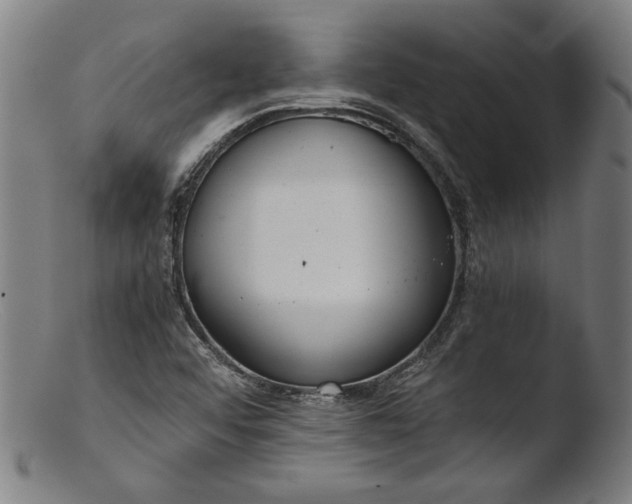 X0000103411456200809261632