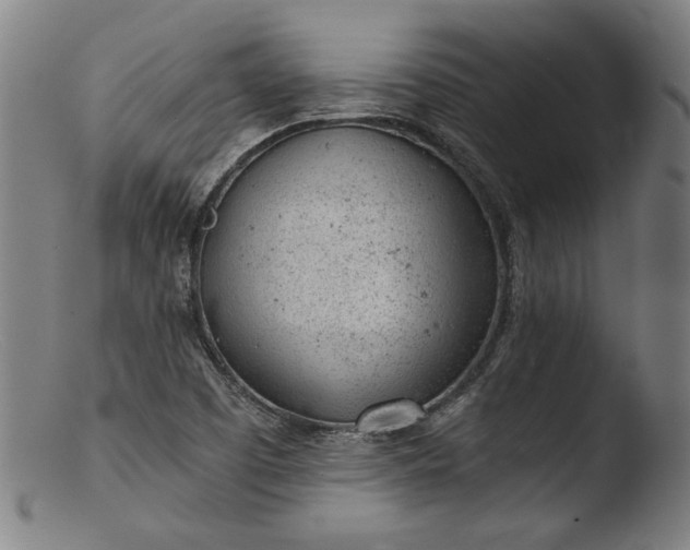 X0000103411457200809261632