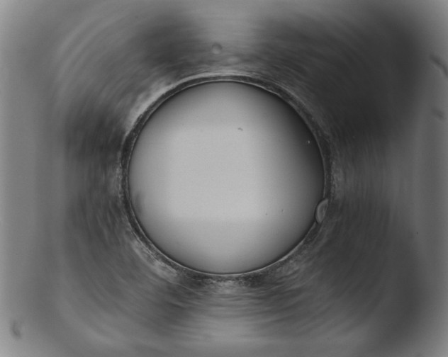 X0000103411460200809261632