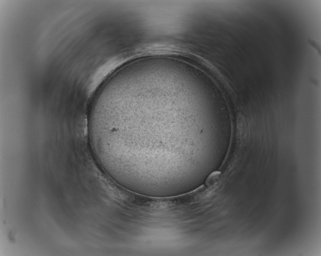 X0000103411461200809261632