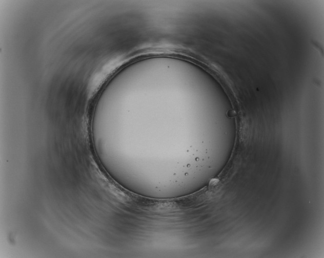 X0000103411464200809261632