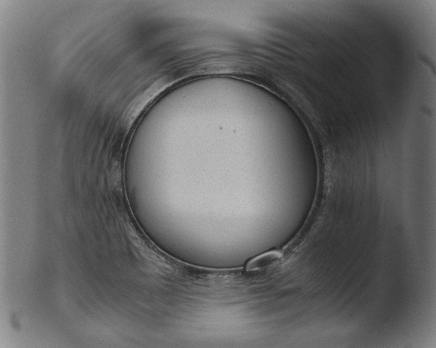 X0000103411465200809261632