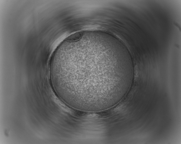 X0000103411467200809261632