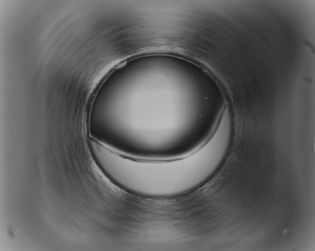 X0000103411468200809261632