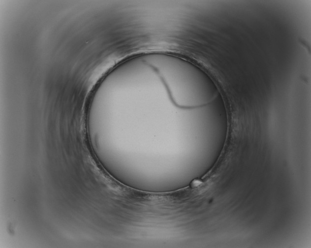 X0000103411469200809261632