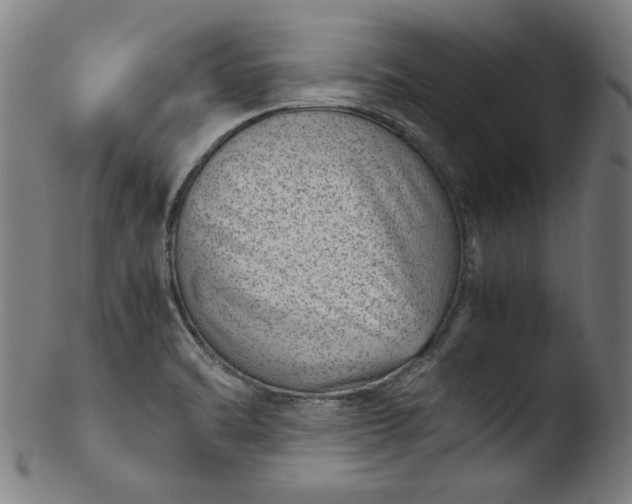 X0000103411470200809261632